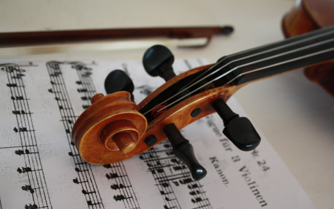 violin-3131551.jpg - Foto: THN