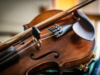 violin-5709254.jpg - Foto: THN