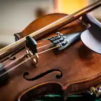 violin-5709254.jpg - Foto: THN