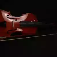 violin-6771249.jpg - Foto: THN