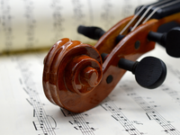 violin-8439018.jpg - Foto: THN