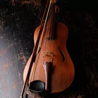 violin-924349.jpg - Foto: THN
