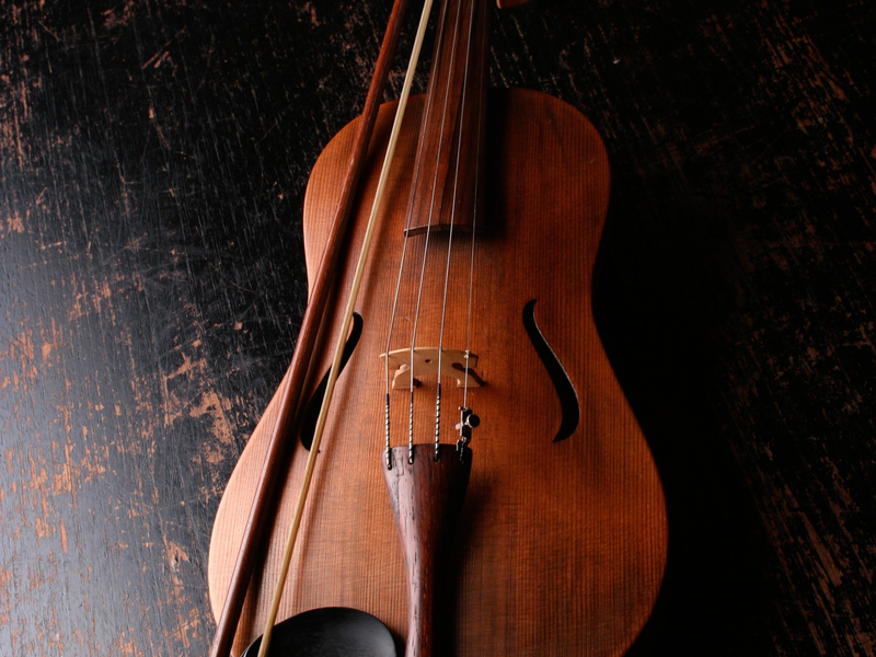 violin-924349.jpg - Foto: THN