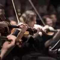 violins-1838390.jpg - Foto: THN