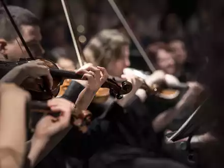 violins-1838390.jpg - Foto: THN