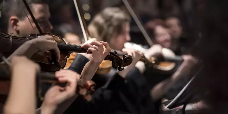 violins-1838390.jpg - Foto: THN