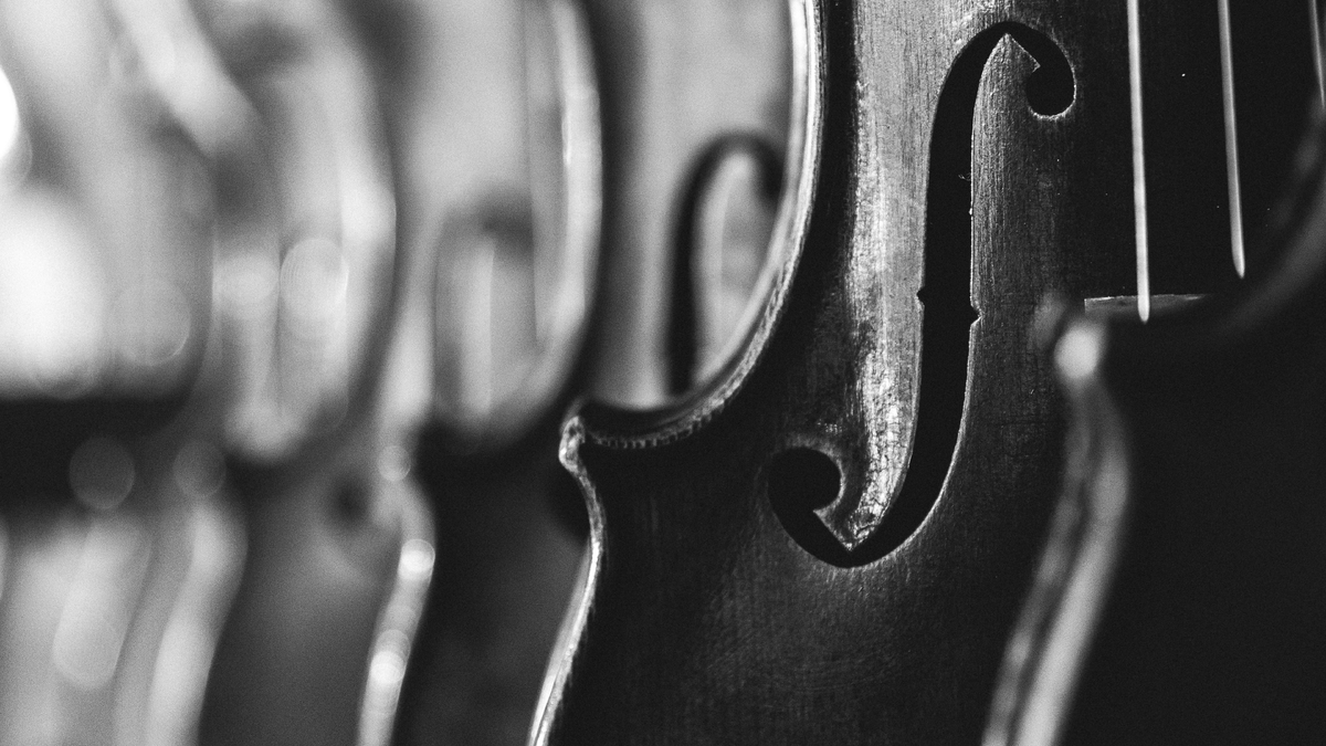 kunst, Vik Muniz, ausstellung - Foto: THN