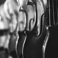 violins-1868064.jpg - Foto: THN