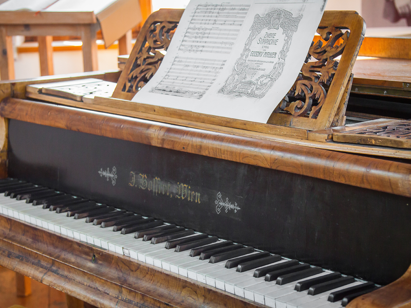 wing-3721684.jpg - Foto: THN