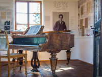 wing-3721701.jpg - Foto: THN