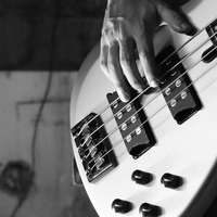 bass-3657617.jpg - Foto: THN