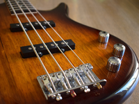 ibanez-1659174.jpg - Foto: THN