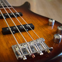 Präzise Verarbeitung: Tonabnehmer, Steg und Regler des fünfsaitigen Basses zeigen sich in warmer Sunburst-Lackierung ganz nah. - Foto: THN