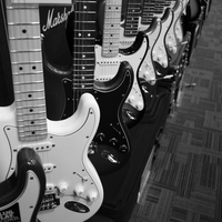 Qual der Wahl: Dicht an dicht reihen sich zahlreiche E-Gitarren auf, festgehalten in stimmungsvollem Schwarzweiß im Musikladen. - Foto: THN