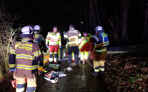 FW-EN: Mehrere Einsätze für die Feuerwehr Herdecke - Baum fällt im dunklen um und Fahrradfahrerin kollidiert mit Baum - Foto: presseportal.de