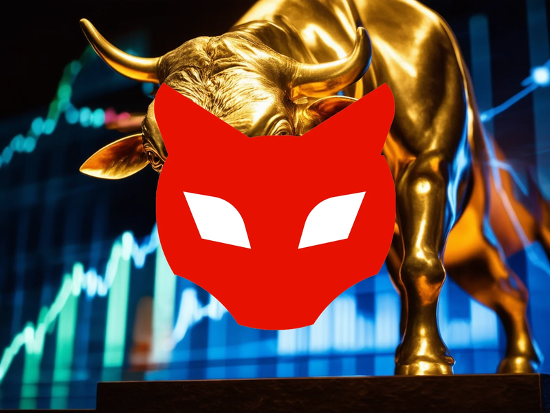 Red Cat Aktie: Führungswechsel überzeugt - Foto: über boerse-global.de