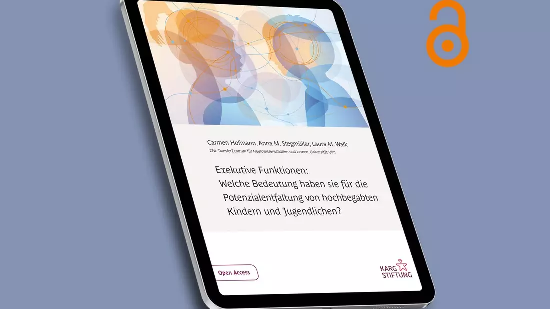 Was Selbstregulation mit Potenzialentwicklung zu tun hat / Karg-Stiftung ermöglicht Expertise zur Bedeutung der Exekutiven Funktionen in der Begabtenförderung - Bild: presseportal.de