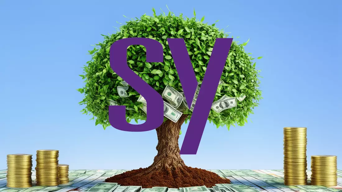 Synopsys Aktie: Signifikante Verbesserungen - Bild: über boerse-global.de