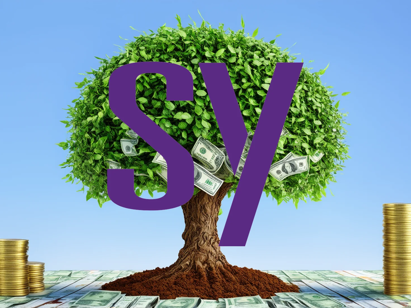 Synopsys Aktie: Signifikante Verbesserungen - Foto: über boerse-global.de