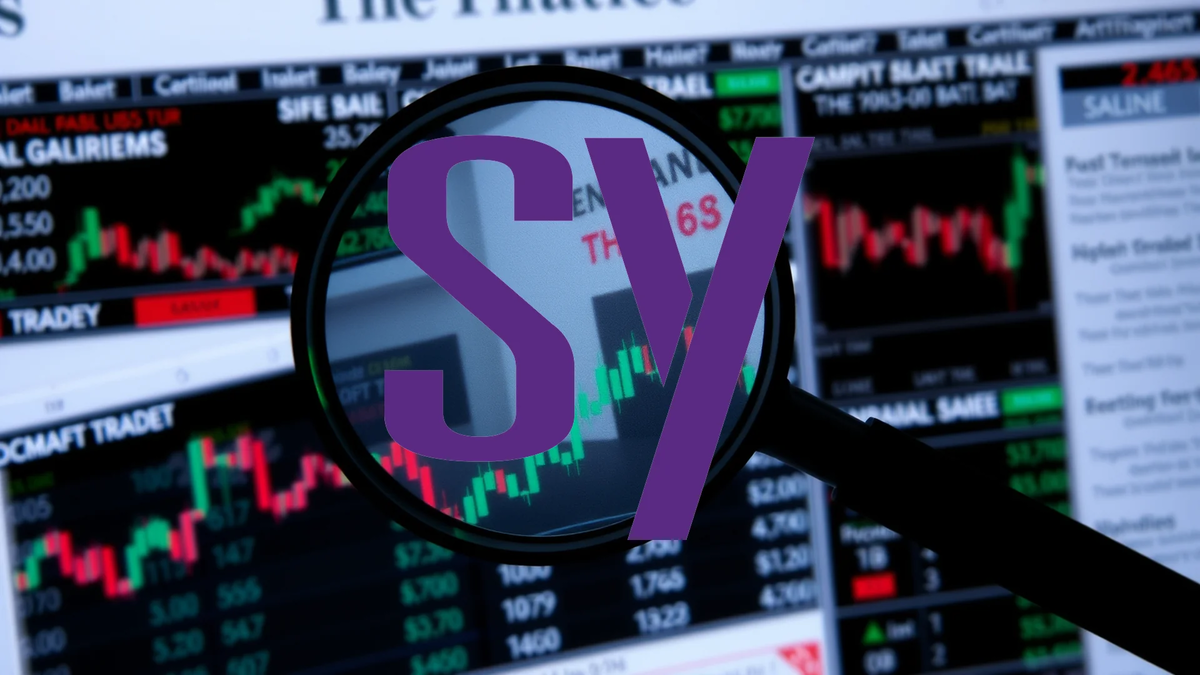 Analyst Confidence Surges for Synopsys Following Robust Earnings - Foto: über boerse-global.de