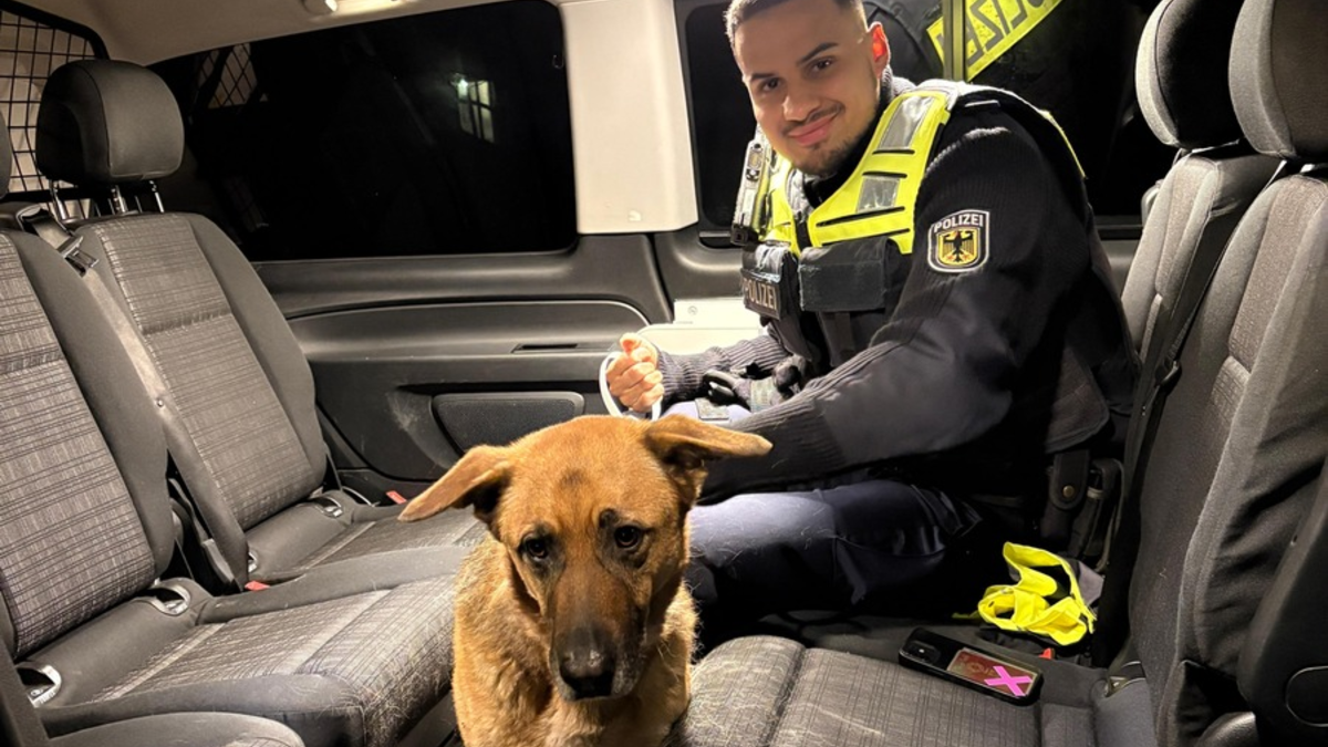 Bundespolizeidirektion München: Scheuer Vierbeiner am S-Bahnhaltepunkt gesichert - Foto: presseportal.de