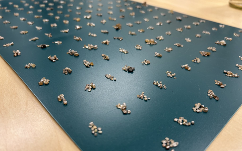 Die Rohdiamanten wurden bei der Einreise entdeckt. (Handout) - Foto: -/Zollfahndungsamt Frankfurt am Main/dpa