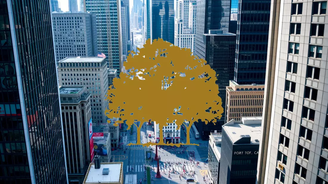 Speculation Over Trump’s Cannabis Policy Ignites Canopy Growth Shares Illustration mit AI erstellt übermittelt durch boerse-global.de