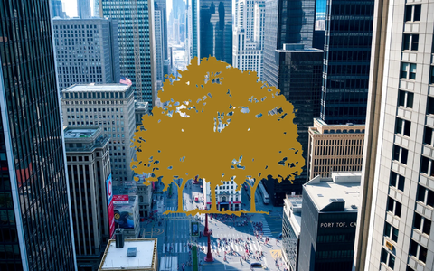 Speculation Over Trump’s Cannabis Policy Ignites Canopy Growth Shares - Foto: über boerse-global.de