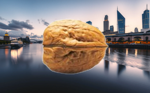 PSI Software Aktie: Letzte Stunden - Foto: über boerse-global.de