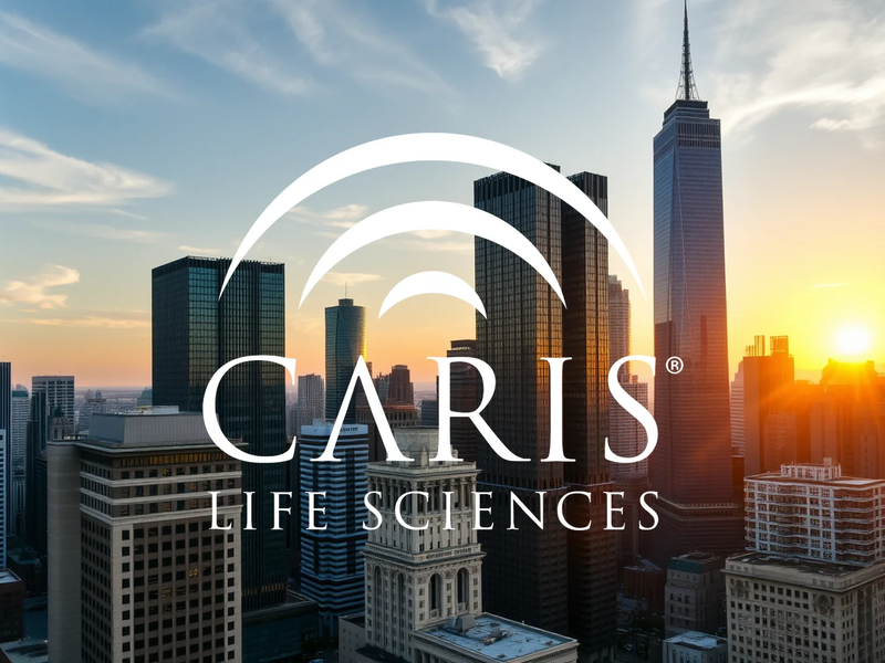 Calidus Resources Aktie: Keine Entschädigung - Foto: über boerse-global.de