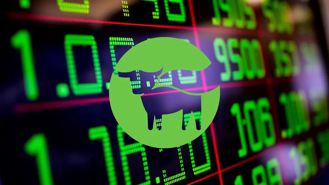 Beyond Meat Aktie: Hoffnungsschimmer - Bild: über boerse-global.de
