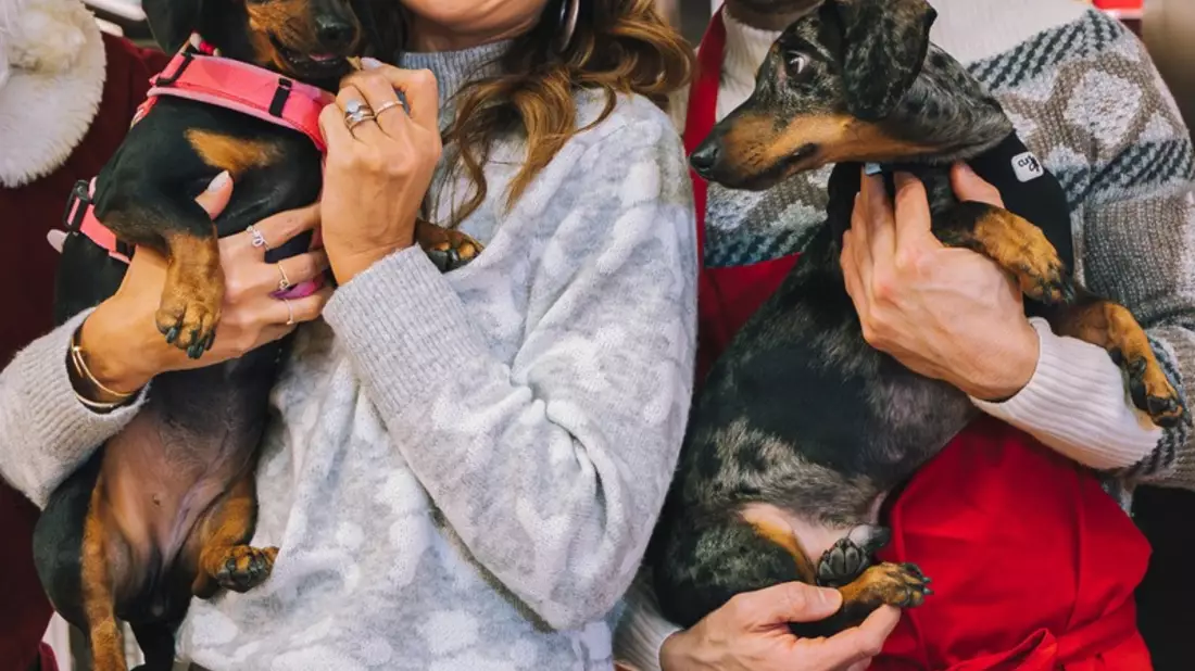 Der Premium-Tiernahrungshersteller animonda veranstaltet heute ein vorweihnachtliches Charity-Event in der Sturmfreien Bude in Köln - Bild: presseportal.de