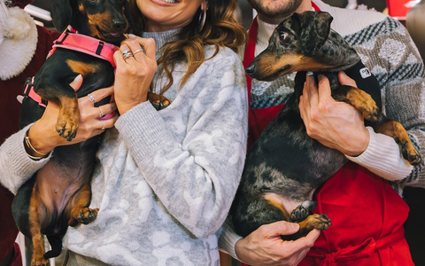 Der Premium-Tiernahrungshersteller animonda veranstaltet heute ein vorweihnachtliches Charity-Event in der Sturmfreien Bude in Köln - Foto: presseportal.de