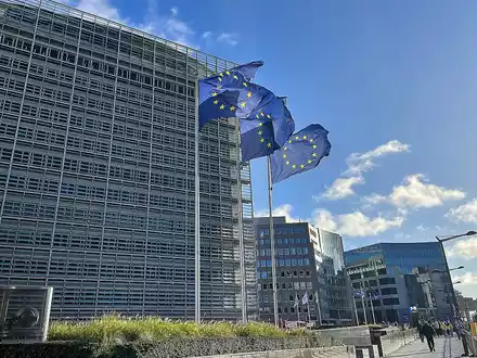 EU-Fahnen (Archiv) - Foto: über dts Nachrichtenagentur