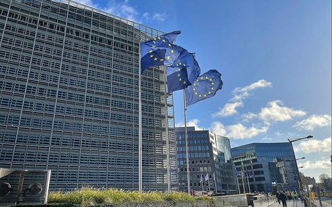 EU-Fahnen (Archiv) - Foto: über dts Nachrichtenagentur