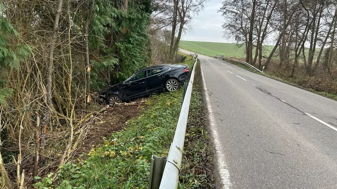 POL-PDLD: L545 bei Niederotterbach - Über die Leitplanke ins Grün - Bild: presseportal.de