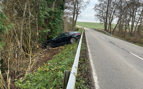 POL-PDLD: L545 bei Niederotterbach - Über die Leitplanke ins Grün - Foto: presseportal.de