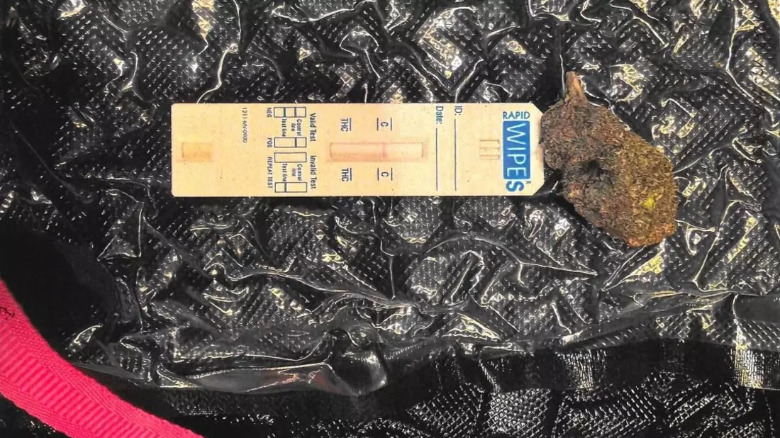 HZA-P: Zoll entdeckt knapp 30 Kilogramm Cannabis am Flughafen BER / Berauschendes Kraut für den Verkauf auf Berliner Märkten bestimmt - Bild: presseportal.de