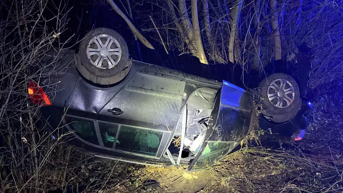 POL-MI: Auto kracht gegen Baum - Bild: presseportal.de