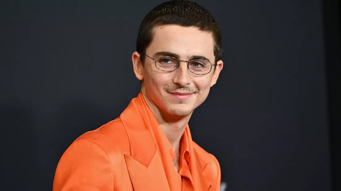 Timothée Chalamet bei der Premiere seines neuen Films Marty Supreme. - Bild: Evan Agostini/Invision/AP/dpa