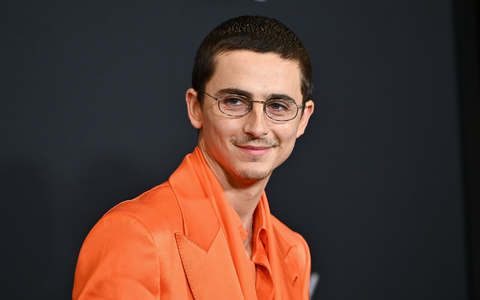Timothée Chalamet bei der Premiere seines neuen Films Marty Supreme. - Foto: Evan Agostini/Invision/AP/dpa