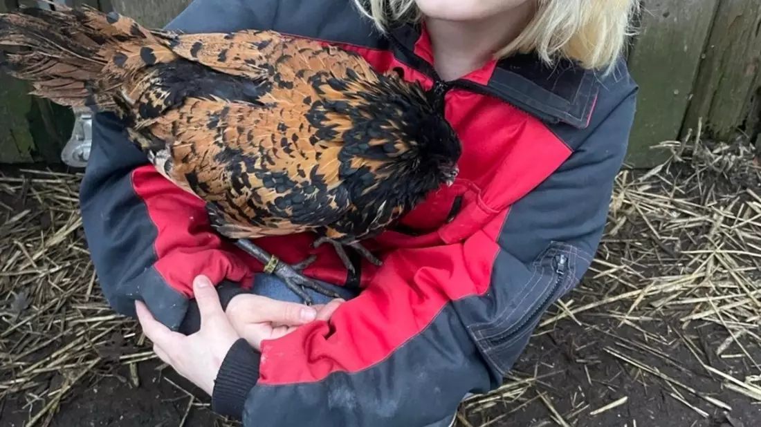 POL-FL: Ellingstedt - Öffentlichkeitsfahndung nach Felina P. - Polizei bittet um Mithilfe - Bild: presseportal.de