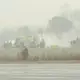 Ein Flugzeug ist an einem Regionalflughafen in North Carolina abgestürzt. - Bild: Uncredited/WSOC via AP/dpa