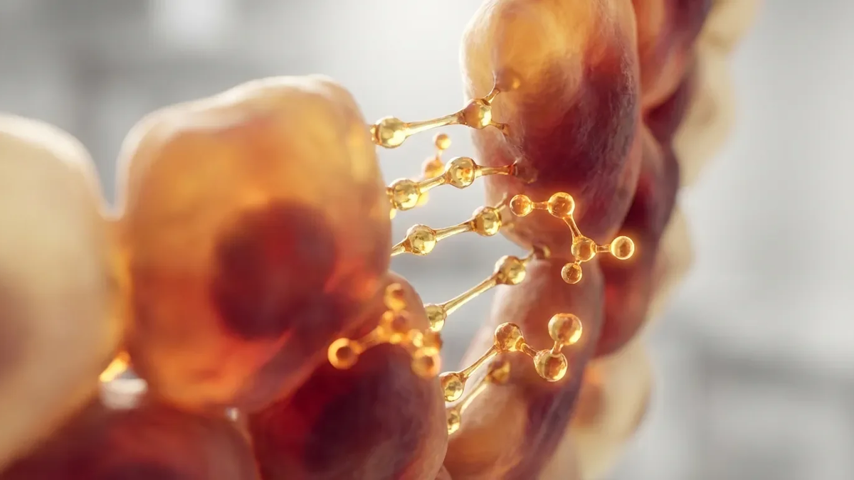 Darmbarriere: Butyrat stärkt den Schutzschild von innen - Foto: über boerse-global.de