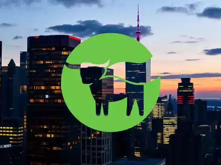 Beyond Meat: La Salida de un Alto Ejecutivo Financiero Agita los Mercados - Foto: über boerse-global.de
