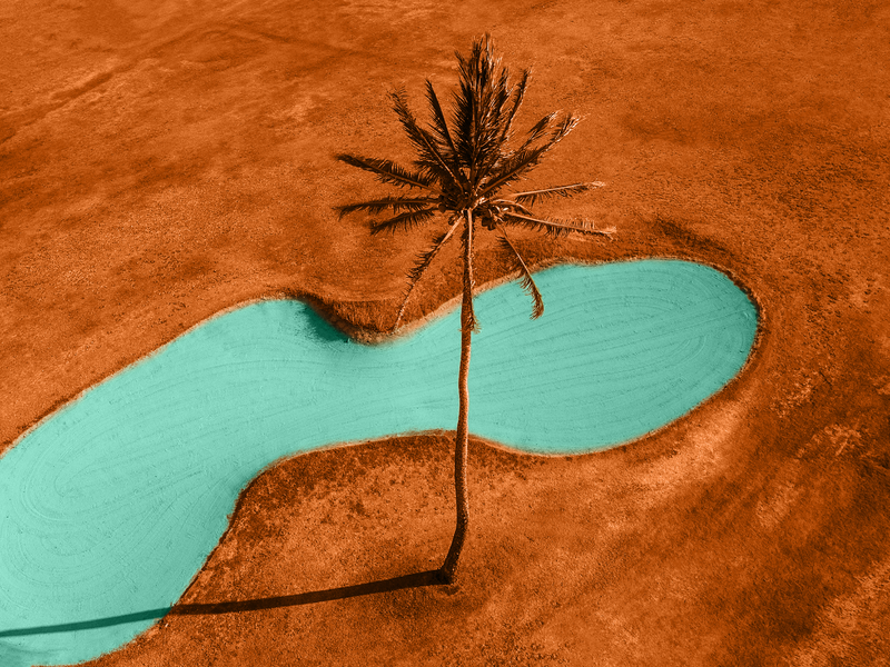 Aus Salzwasser und Sonne wird Süßwasser - Foto: DesertGreener über pressetext.de