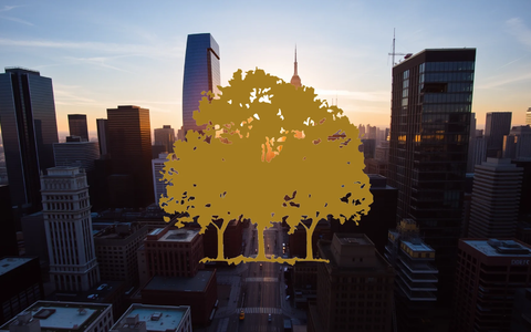 Canopy Growth Aktie: Regulierung stützt - Foto: über boerse-global.de