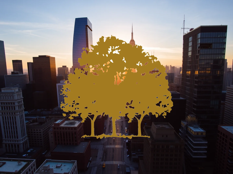 Canopy Growth Aktie: Regulierung stützt - Foto: über boerse-global.de