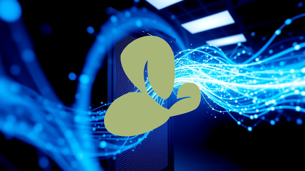 Orchid Island Capital: A Valuation Conundrum - Foto: über boerse-global.de