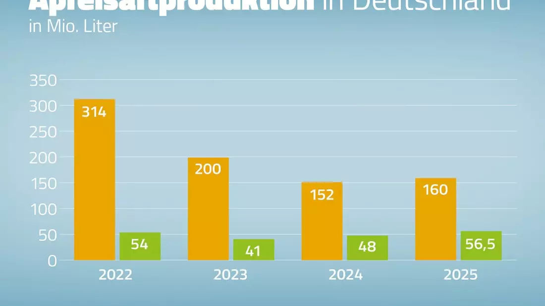 Keltersaison 2025 / Niedrige Apfelsaftmenge mit hohem Bio-Anteil zu hohen Preisen gekeltert - Bild: presseportal.de